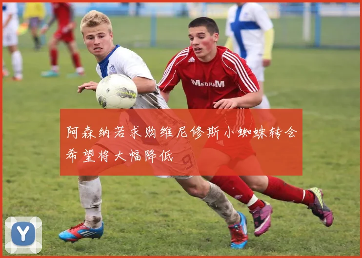 阿森纳若求购维尼修斯小蜘蛛转会希望将大幅降低